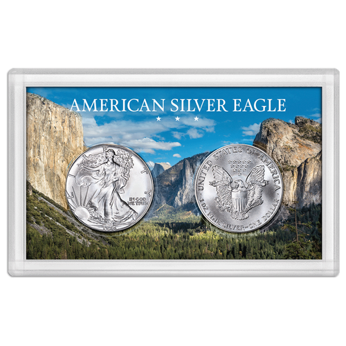 American Silver Eagle 3x5 Frosty Case, Mountain Forest - 40.6mm - 4hole / SCRATCH&DENT