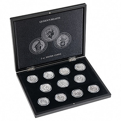 1 oz. Coin Display Cases: Silver Eagles, Morgan Dollars & More - JP's ...